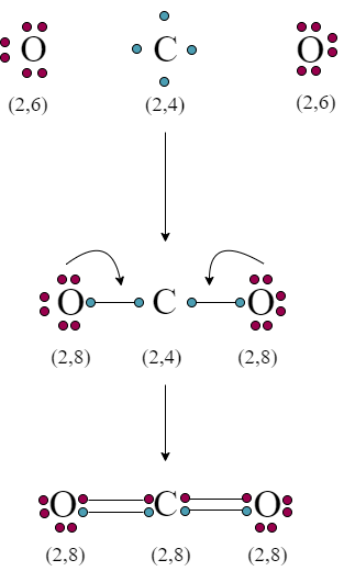 What is Covalent bond of Co2? | Chemistryread